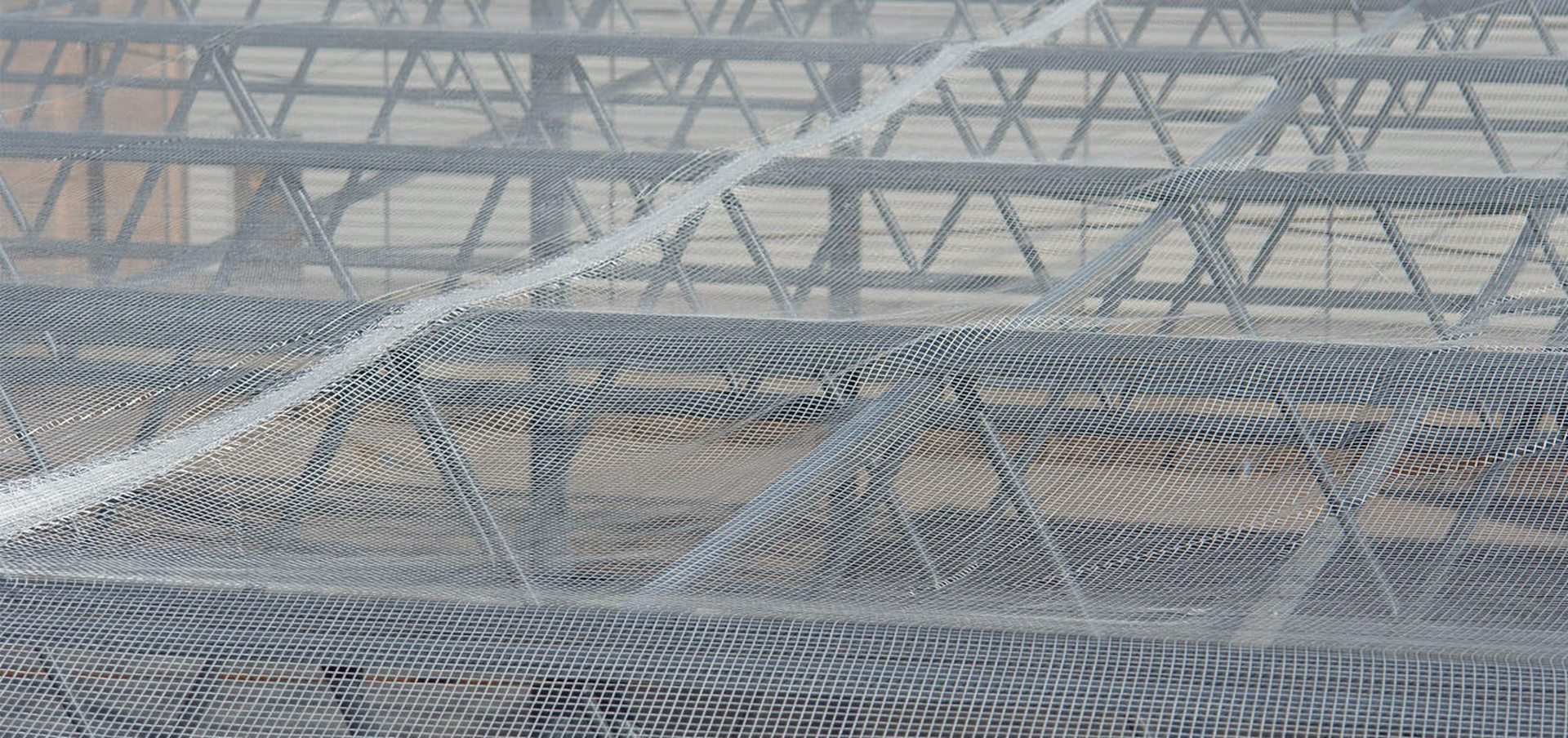 Sky-Web, Fall protection, Safety Fall protection system for roofs on Butler steel buildings